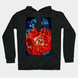 Scarlet Peony Flower Hoodie